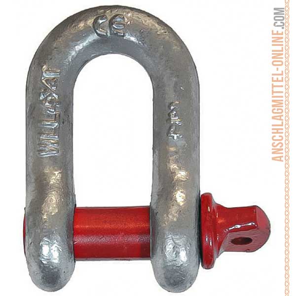 Schäkel gerade mit Augbolzen
