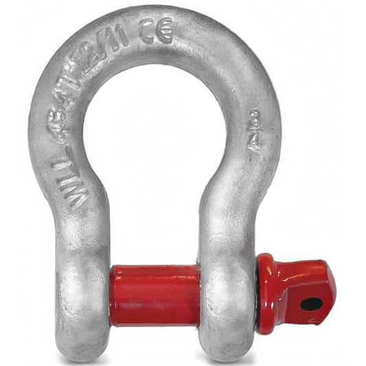 Schäkel, geschweift mit Augbolzen